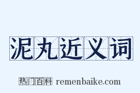 泥丸近义词是什么意思的图片